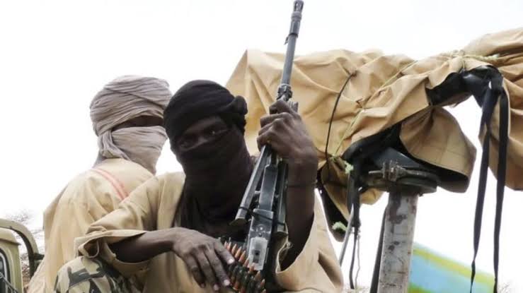 Terrorists kidnap two, steal foodstuff in Borno